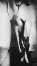 lumir-zemla-body.jpg