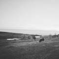 marian-faktor-2.jpg