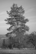 radek-kucerik--(1).jpg