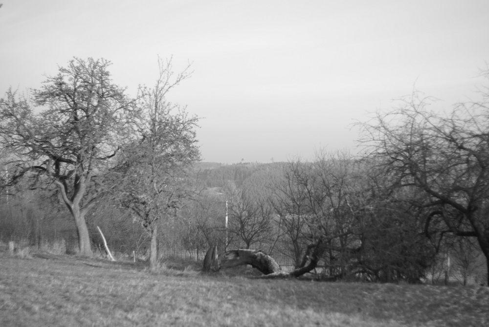 radek-kucerik--(2).jpg
