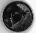 tepanka-semecka-1.jpg