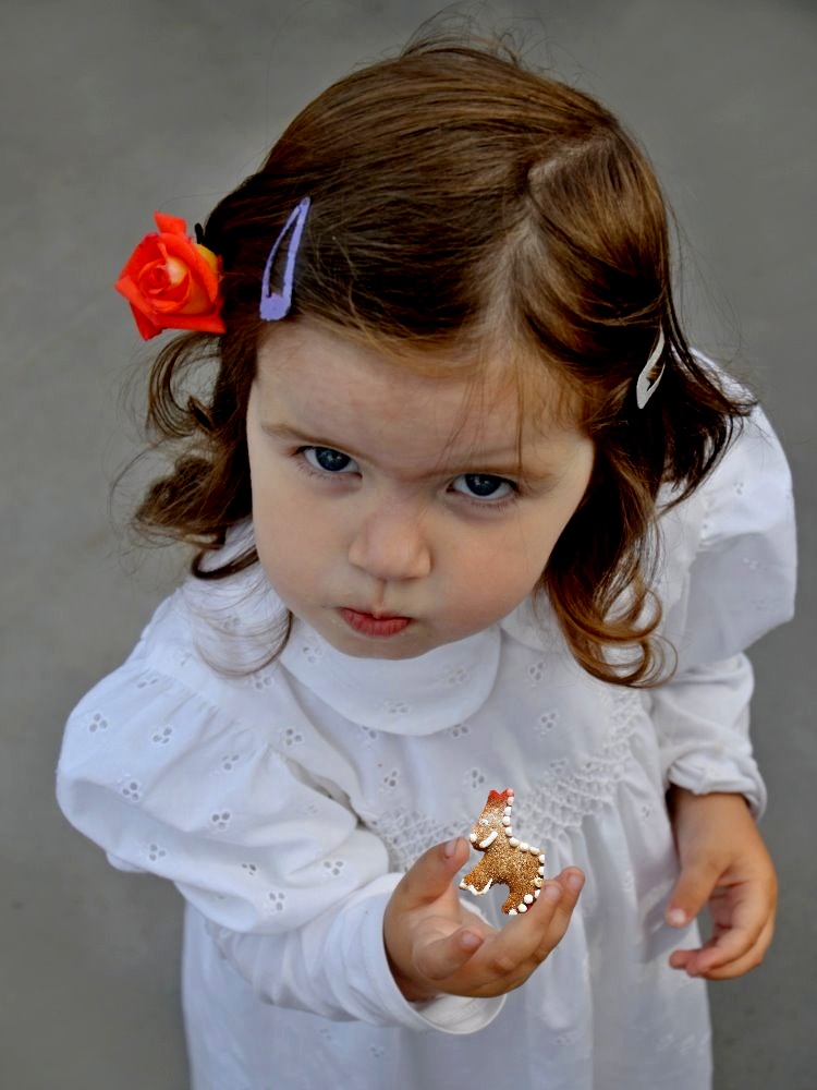 dana-klimesova--(3).jpg