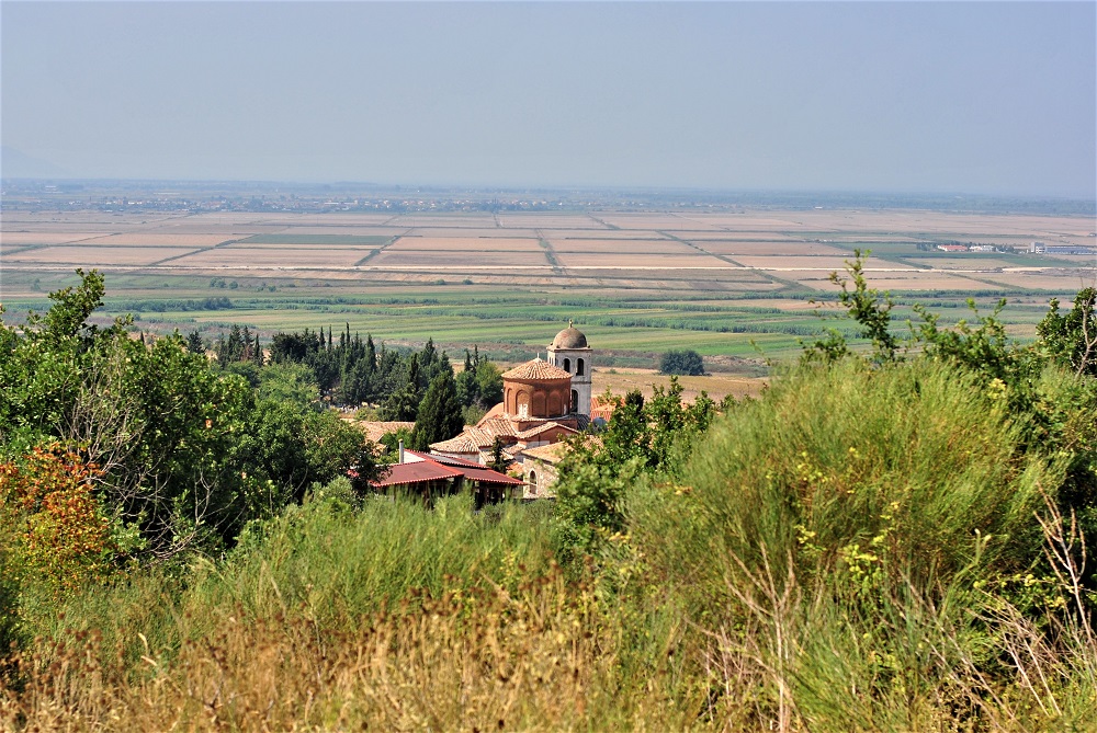 erik-mihalda-(2).jpg