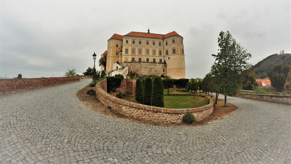 erik-mihalda-(3).jpg