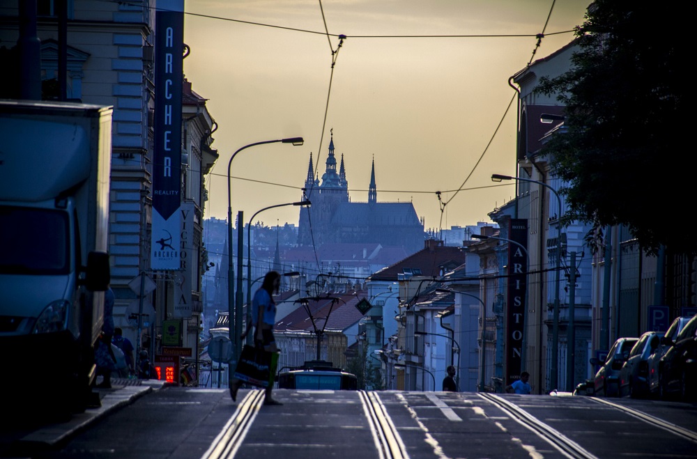 michal-zapletal--(3).jpg