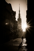 radek-dvorak--(1).jpg