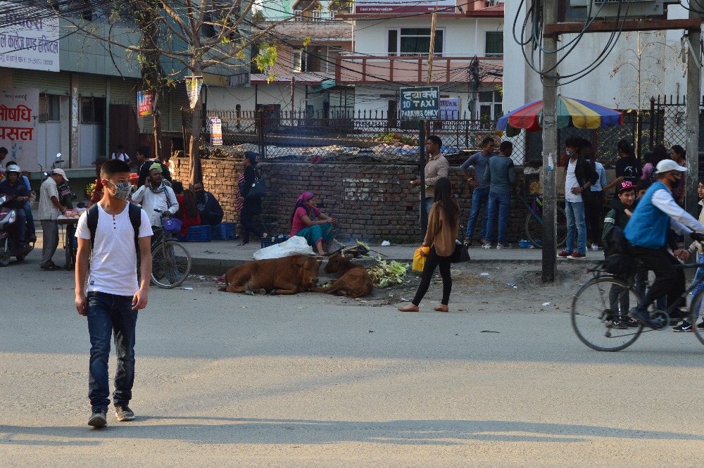 radka-houskova-nepal--(2).jpg
