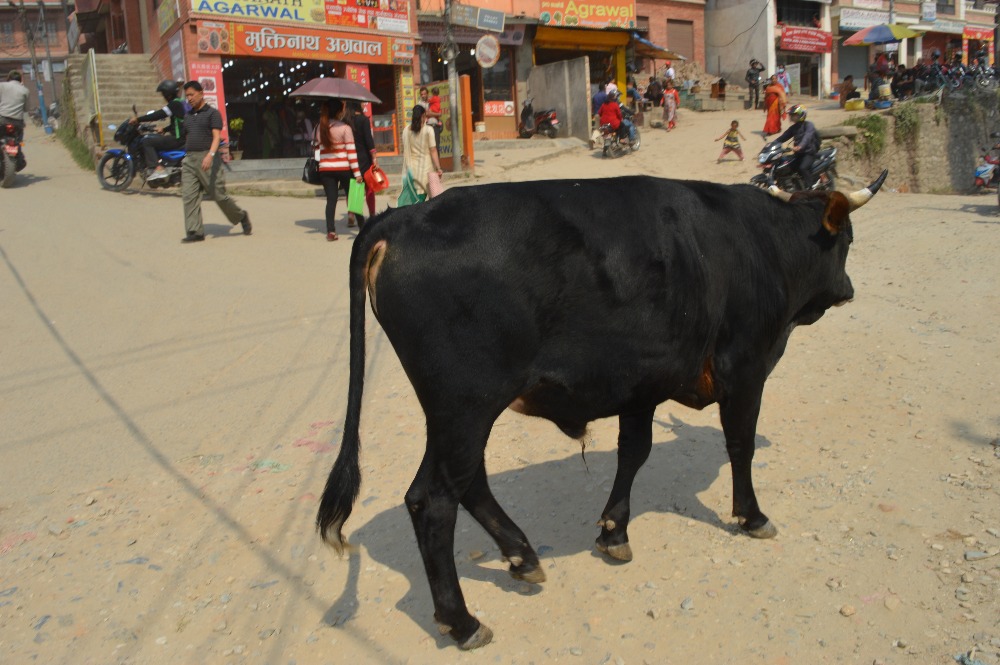 radka-houskova-nepal--(4).jpg