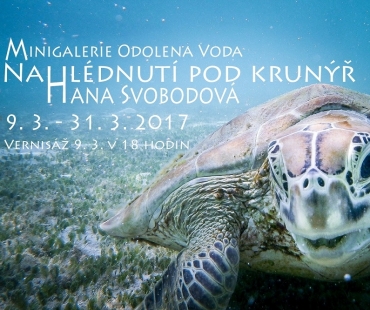 Hana Svobodová