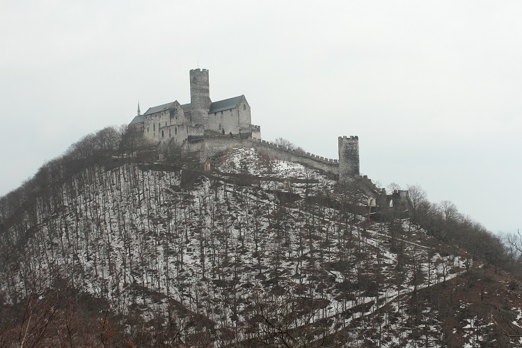 bezdez-original-radek-hortensky.jpg