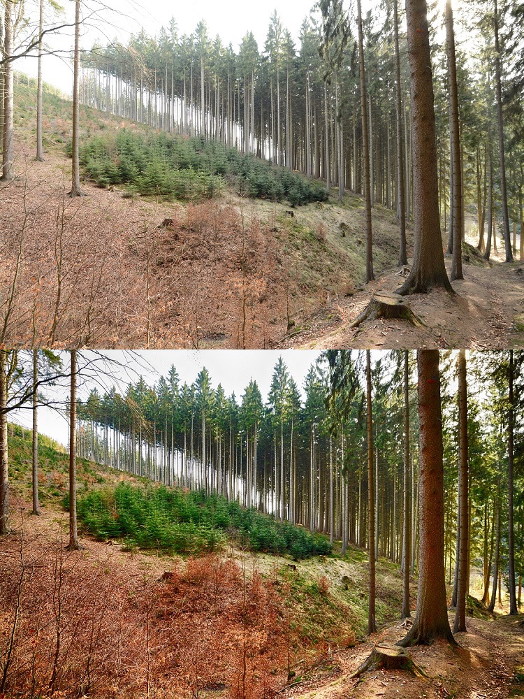 jan-kutilek-3.jpg