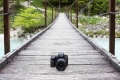 Canon EOS 6D Mark II