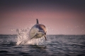 Foto: George Karbus