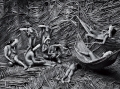 Sebastião Salgado