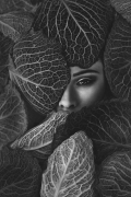 1-katerina-janisova,-....jpg