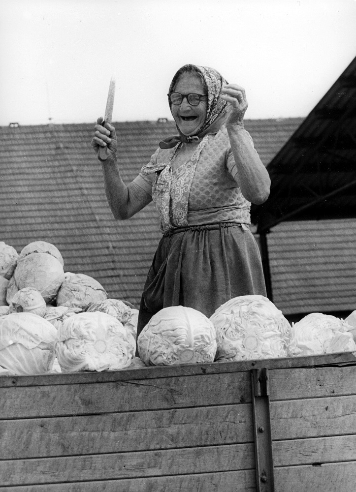 alena-vykulilova.jpg
