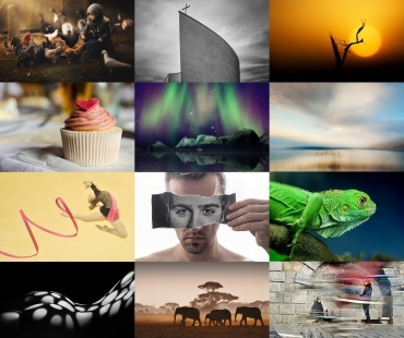 18. Fotograf roku