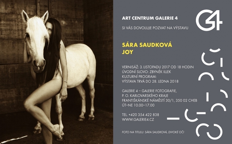 Sara Saudková, Joy
