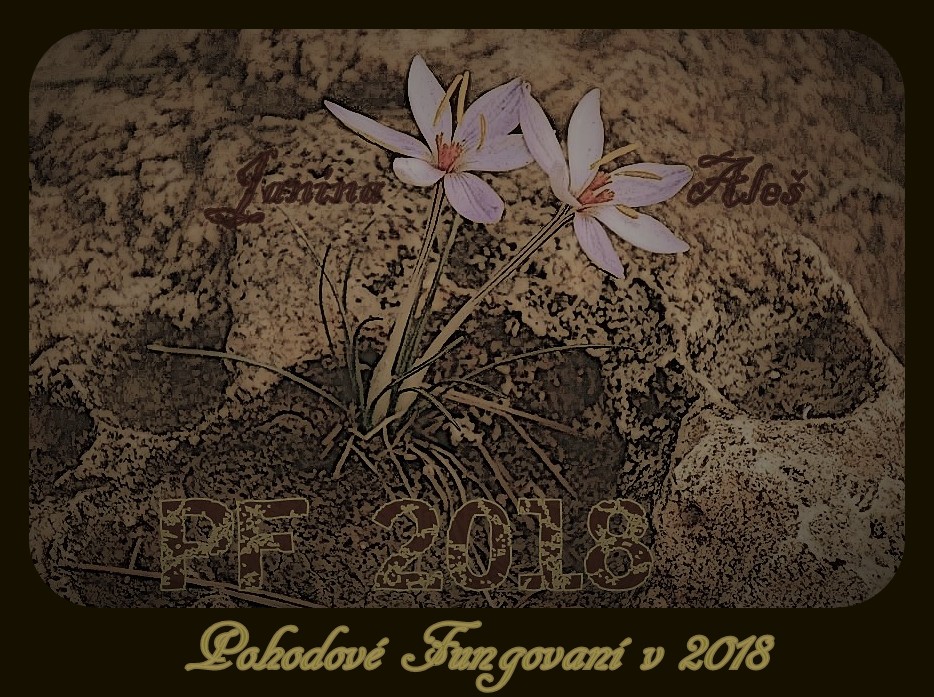 Aleš Zajíček, PF 2018