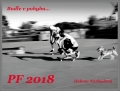 Helena Nezbedová, PF 2018