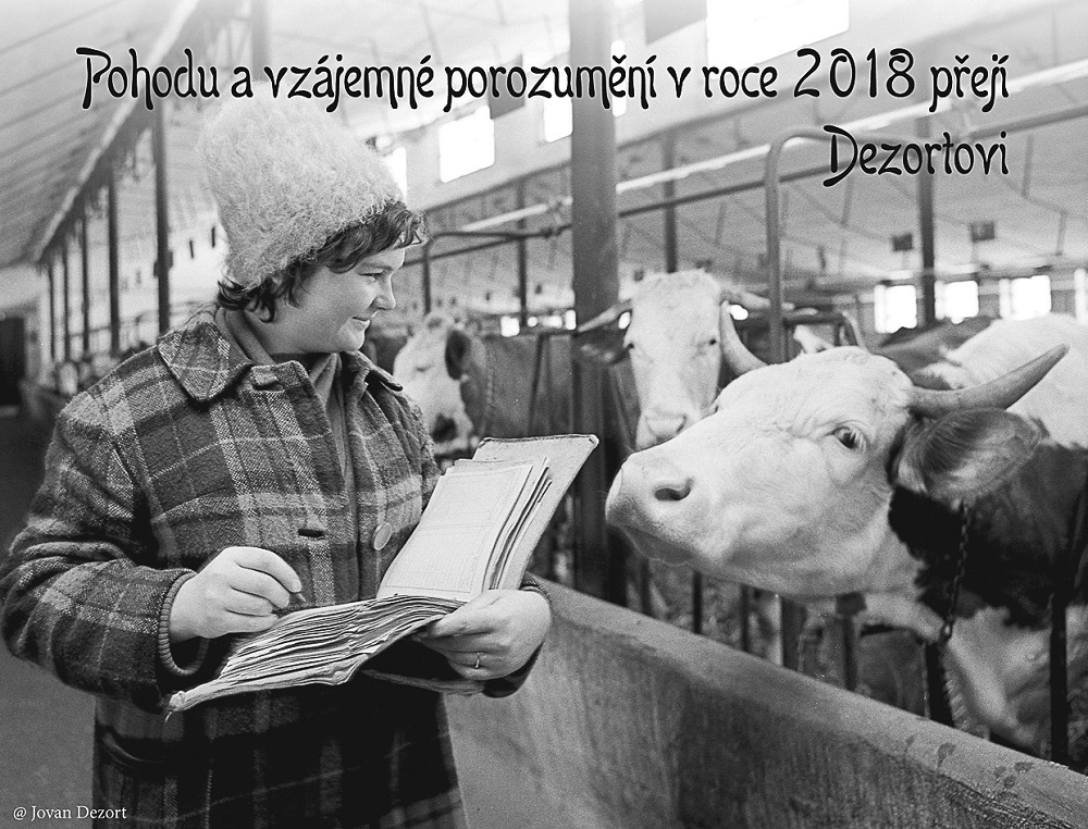 Jovan Dezort, PF 2018