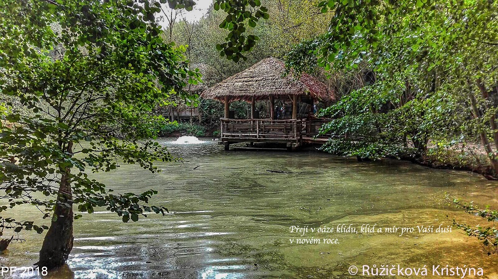 Kristýna Růžičková, Zlín, PF 2018