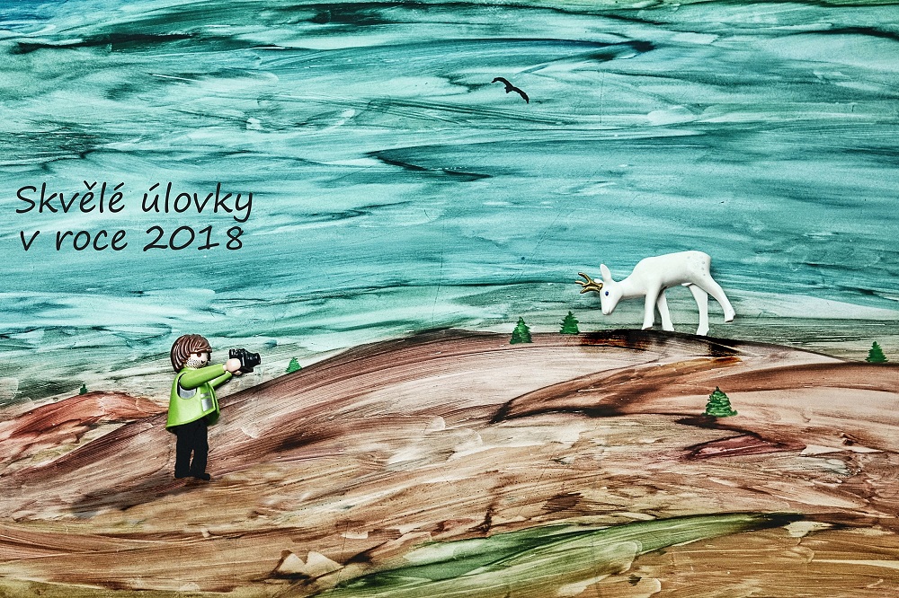Květa Novotná, PF 2018