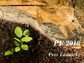Petr Láznický, PF 2018
