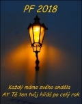Petra Badinová, PF 2018, Každý máme svého anděla