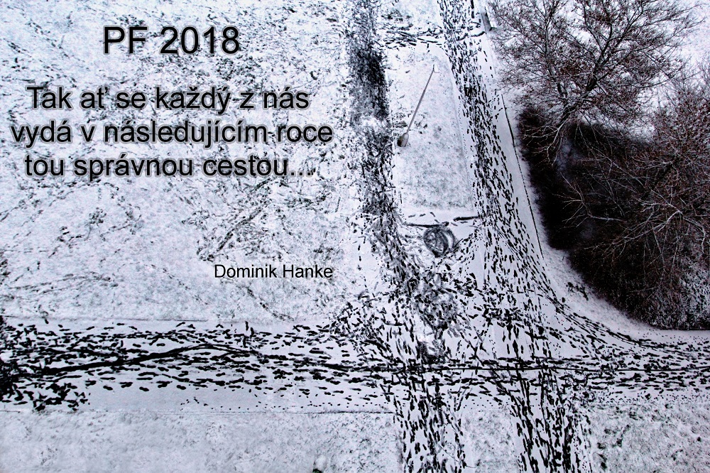 Dominik Hanke, PF 2018
