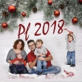 Petr Bořuta, PF 2018