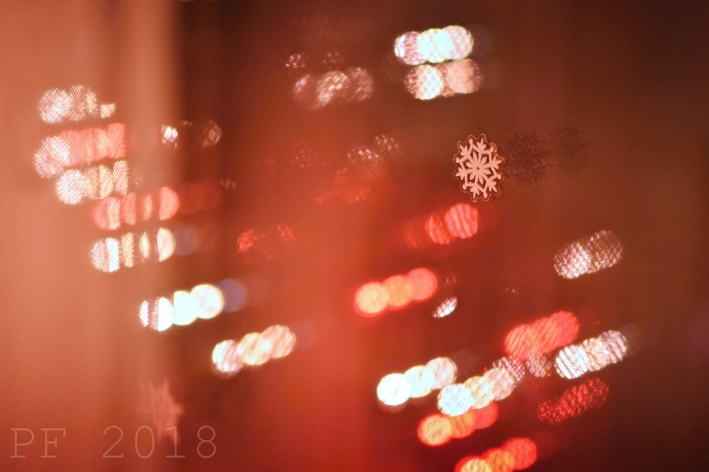 Tereza Přikrylová Karafiátová 2, PF 2018