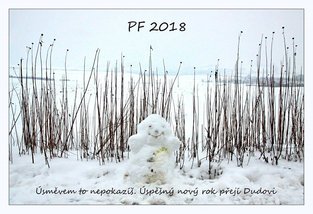 Aleš Duda, PF 2018