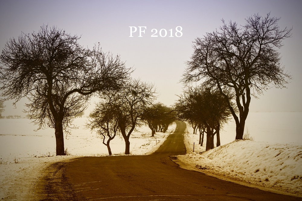 Rostislav Recman, PF 2018