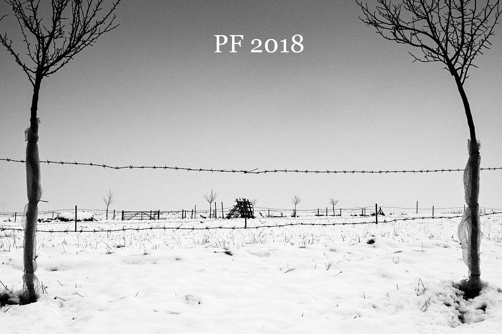 Rostislav Recman, PF 2018
