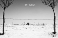 Rostislav Recman, PF 2018