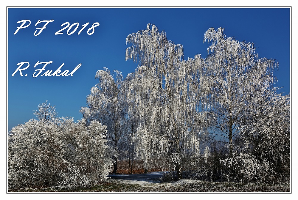 Rudolf Fukal, PF 2018