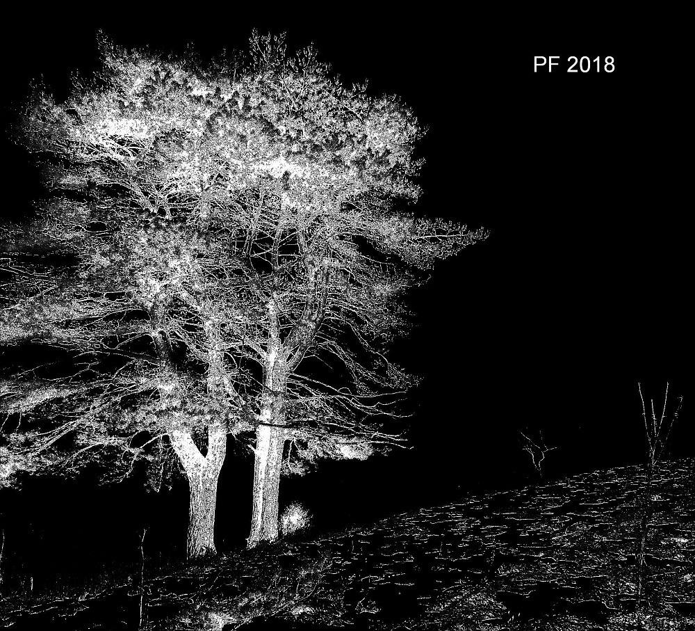 Ľudmila Miklošová, PF 2018, Strom šťastia