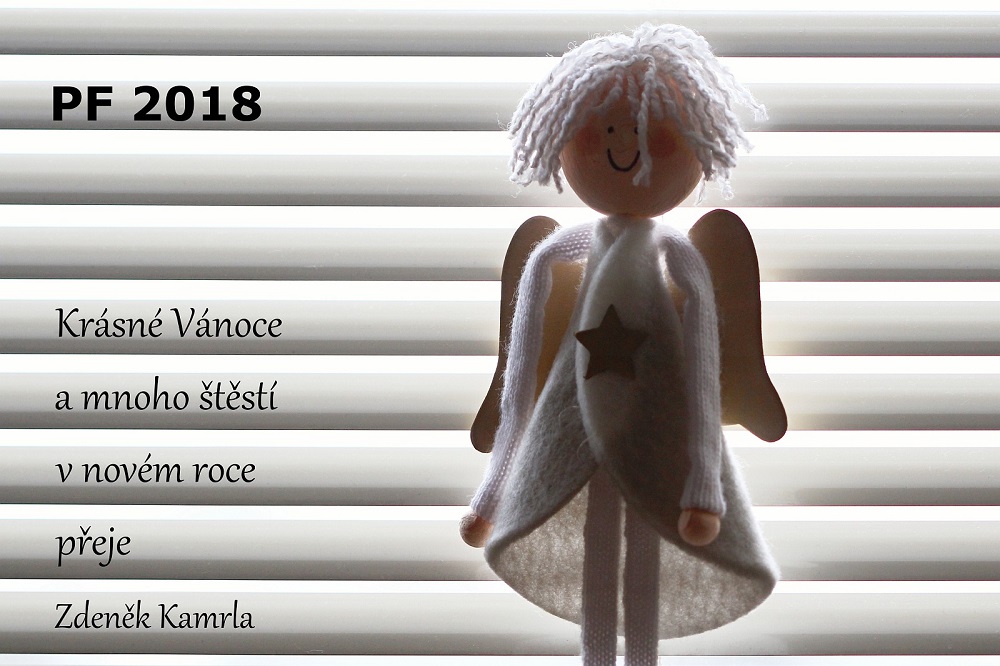 Zdeněk Kamrla, PF 2018