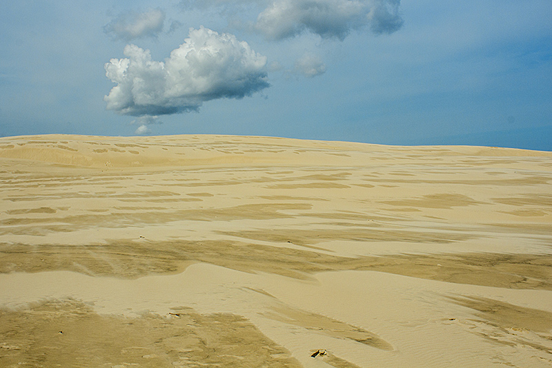 radek-hortensky,-polska-sahara.jpg
