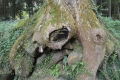 radoslava-houskova,-taiwan-2017-198.jpg