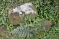 radoslava-houskova,-taiwan-2017-229.jpg