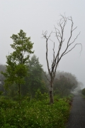 radoslava-houskova,-taiwan-2017-415.jpg