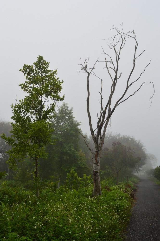 radoslava-houskova,-taiwan-2017-415.jpg