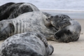 renata-hasilova,-helgoland-70d-2026.jpg