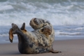 renata-hasilova,-helgoland-70d-2039.jpg