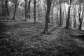 rostislav-kysa-bw-02.jpg