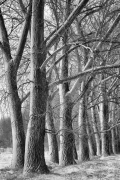 rostislav-kysa-bw-05.jpg