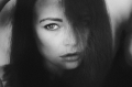 Tereza Přikrylová