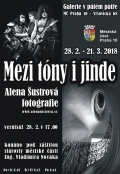 Alena Šustrová, Mezi tóny i jinde